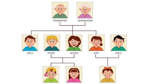 Nên cho bé học tiếng Anh theo chủ đề giúp cho việc ghi nhớ kiến thức dễ dàng hơn