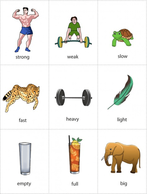 Các từ vựng đơn giản cho trẻ học tập