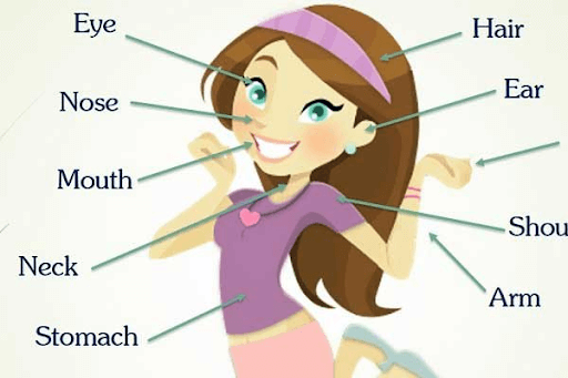 Các phương thức học từ vựng tiếng Anh qua hình ảnh